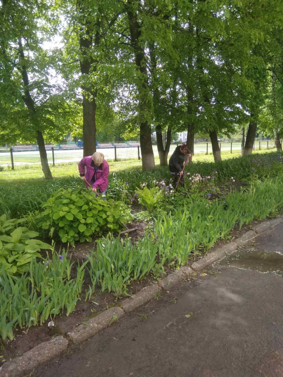 изображение viber 2020 05 22 11 21 23