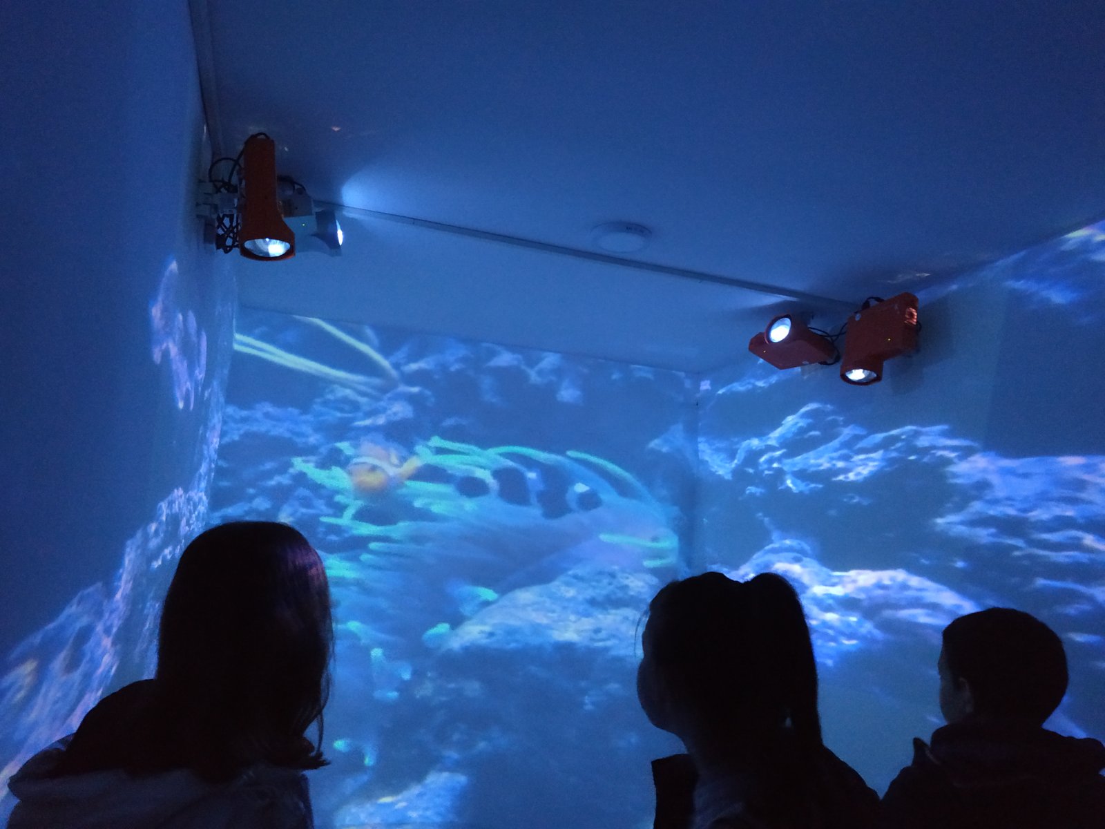 изображение viber 2020 10 21 12 38 048