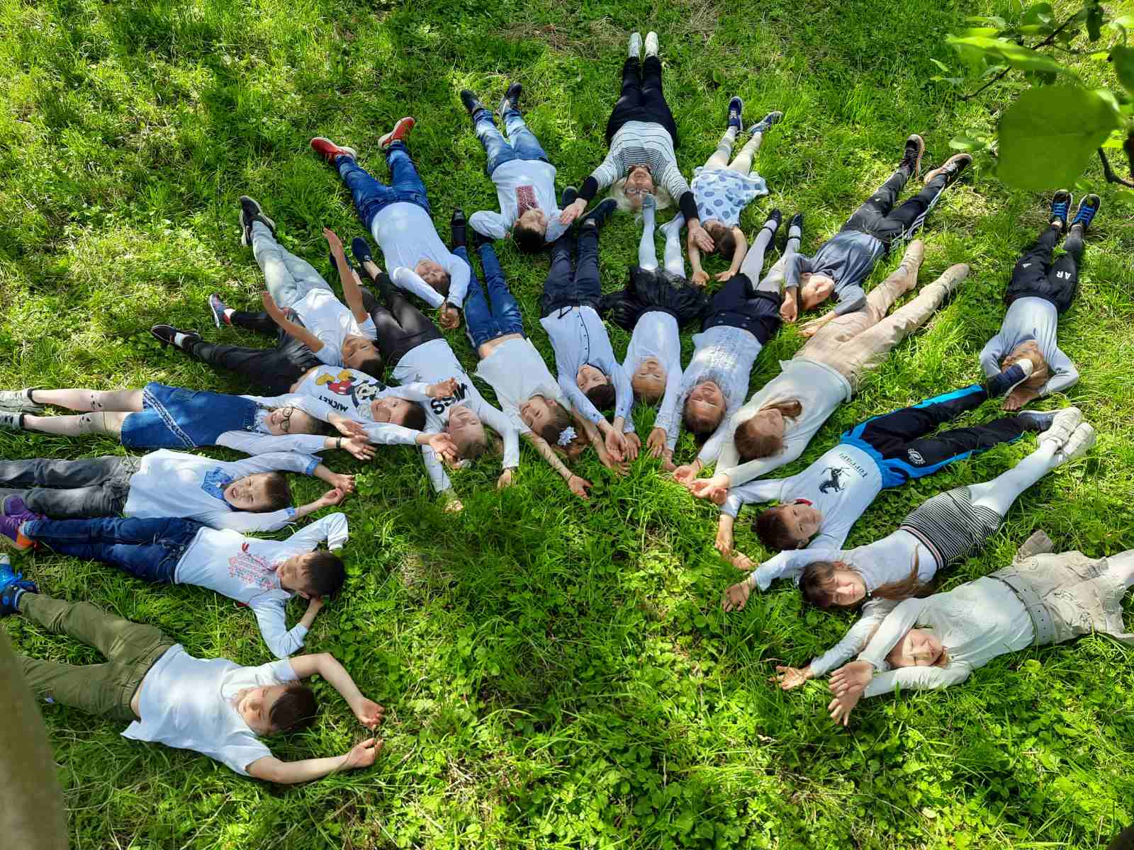 изображение viber 2021 06 04 10 46 21