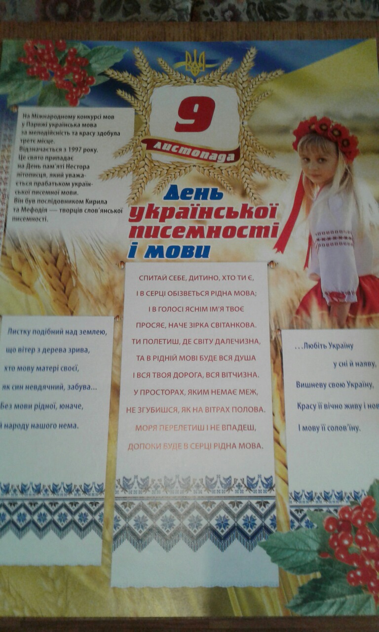 изображение viber 2019 11 11 13 10 03